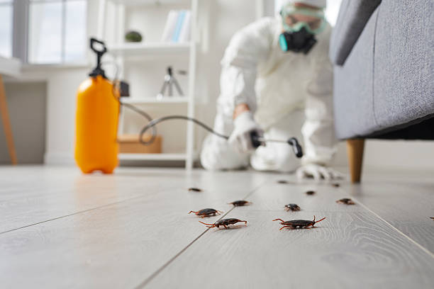 Commercial Kitchen Cockroach Control in Riverside